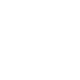 ce logo Palm Coast